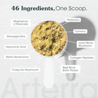 Adult Dog Powder Supplement & Food Topper – 46 Ingredients for Gut, Immune & Brain Health – Daily Longevity Multivitamin for Whole Body Wellness | 60 Scoops