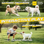 Fida Dog Rope Toys 4 Pack, Puppy Teething Sturdy Cotton Chew Tug Ropes Indoor/Outdoor, Exercise Interactive Tug O'War Toys Set for Boredom Small-Meidum Dogs