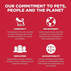 Go! Solutions Skin + Coat Care, Dry Dog Food, Lamb Recipe with Grains, 12 lb Bag