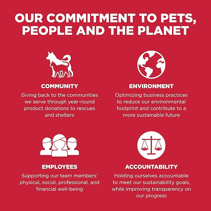 Go! Solutions Skin + Coat Care, Dry Dog Food, Lamb Recipe with Grains, 12 lb Bag