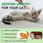 Silvervine Sticks for Cats, Silver Rattan Stick Catnip Stick,Kitten Training Toy,Cats Chew Stick Indoor,Cat Interactive Toy,Tooth Cleaning for cat,Kitty Wooden Tooth Stick Cat Game