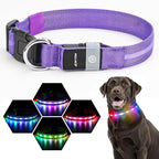 LED Dog Collar, Light Up Dog Collar, USB Rechargeable - Brightest Dog Lights for Night Walking, 6 Light Modes, Adjustable for Dog Safety(Large, Purple)