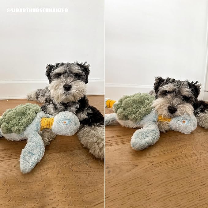 Turtle Squeaky Dog Toy - New 2025 Indestructible Tug of War Crinkle Dog Toy for Aggressive Chewers, Tough Large Breed Interactive Trianing Fun to Keep Them Busy