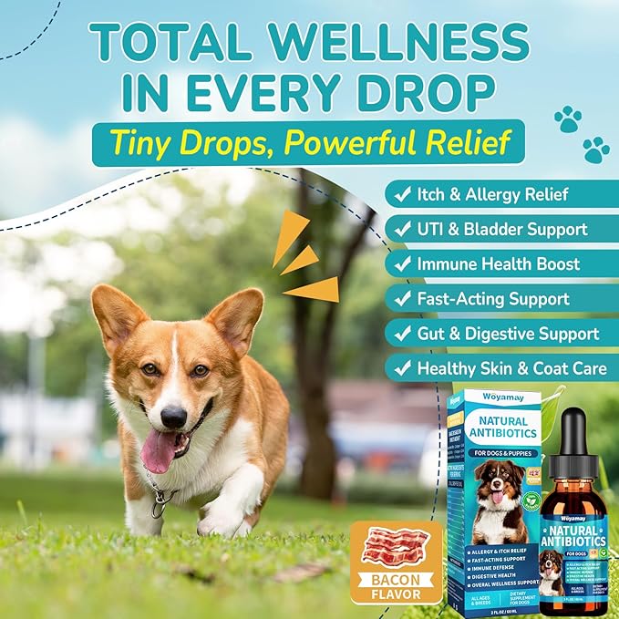 Antibiotics for Dogs | Natural Dog Antibiotics for Allergy Relief, Itch Relief, Coughs, Skin Health, Breath Treatment, Digestion | Herbal Supplement to Care for Ears, Eyes & Coat, 4 Fl Oz