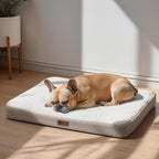 Deconovo Orthopedic Dog Bed for Medium & Large Dogs – Supportive Memory Foam with Washable Cover, Non-Slip Base – Comfort for Senior, Arthritic & Active Pets, White and Khaki Side, 30" Lx20 Wx3 Th