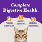 Halo Holistic Cage Free Chicken Cat Food, Grain Free Dry Cat Food, For Healthy Weight Support, Kibble for Indoor Cats, 6 lb Bag