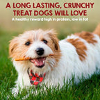 Riley's Chicken Wrapped Beef Sticks - Made with USA Sourced Dehydrated Chicken Breast & Beef Hide - Dog Snacks for Small Dogs and All Natural Chew Sticks - 21 Small Twists
