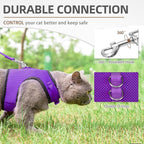 PUPTECK Soft Mesh Cat Vest Harness and Leash Set Puppy Padded Pet Harnesses Escape Proof for Cats Small Dogs Rabbits Bunny
