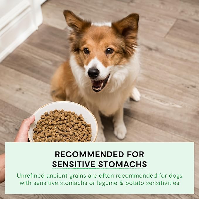 Open Farm, Ancient Grains Dry Dog Food, Protein-Rich & Nutrient Dense, 90% Animal Protein Mixed with Non-GMO Fruits, Veggies and Superfoods, Catch-of-The-Season Whitefish Recipe, 4lb Bag