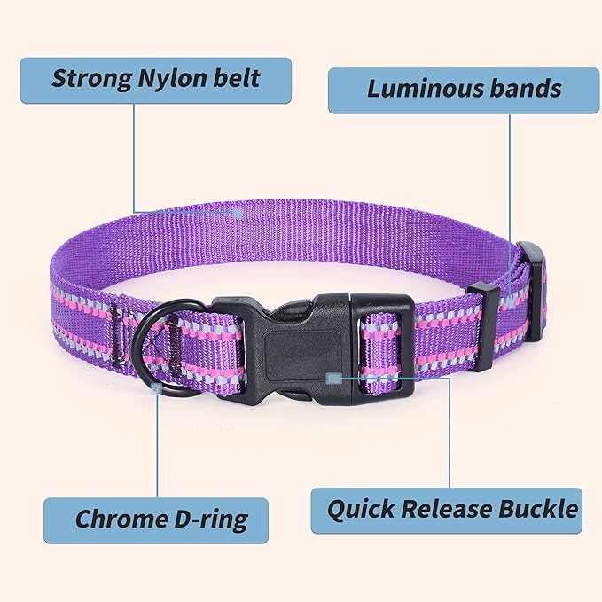 Mile High Life Nylon Night Light Glow Collar, Reflective Light Up Dog Collar, Fluorescent Self-Luminescent Strap for Small Medium Large Dogs (Purple, L Neck15-19")