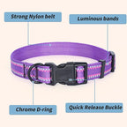 Mile High Life Nylon Night Light Glow Collar, Reflective Light Up Dog Collar, Fluorescent Self-Luminescent Strap for Small Medium Large Dogs (Purple, S Neck11-15")