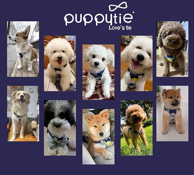 Puppytie No Pull Dog Harness with Multifunction Dog Leash,Soft Adjustable No Choke Escape Proof Pet Harness Vest for Medium Dogs,Suede Bow Navy,M