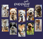 Puppytie No Pull Dog Harness with Multifunction Dog Leash,Soft Adjustable No Choke Escape Proof Pet Harness Vest for Medium Dogs,Suede Bow Navy,M