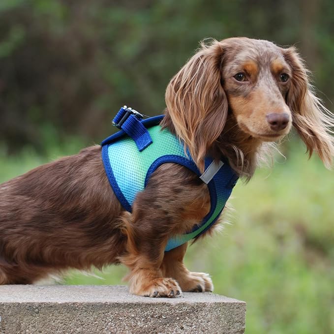 Doggie Design No Choke Dog Harness - Simple Step-in and Go Dog Vest for Small, Medium, and Large Breeds - Breathable Mesh Polyester Pet Harness - Northern Lights - XL