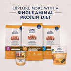 Natural Balance Limited Ingredient Adult Grain-Free Dry Dog Food, Reserve Duck & Potato Recipe, 22 Pound (Pack of 1)