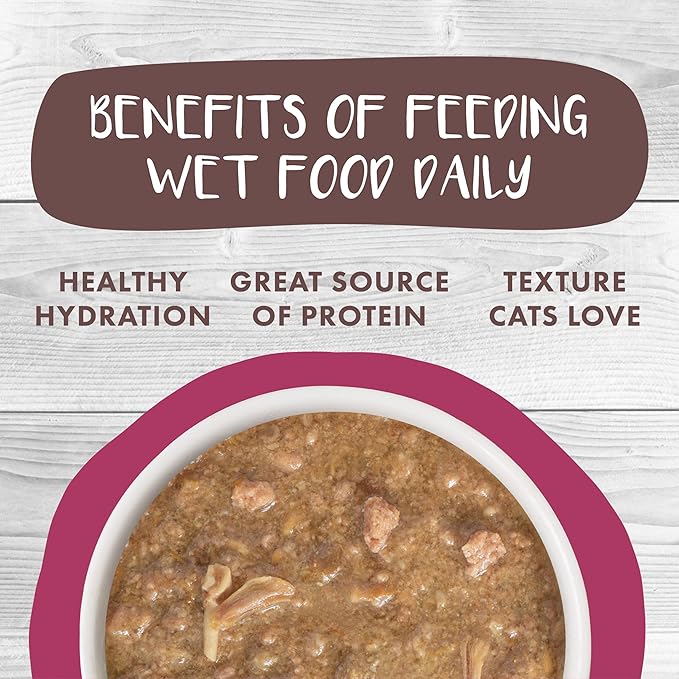 Weruva Classic Cat Stews!, Stewlander with Duck & Salmon in Gravy, 2.8oz Can (Pack of 12)