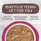 Weruva Classic Cat Stews!, Stewlander with Duck & Salmon in Gravy, 5.5oz Can (Pack of 8)