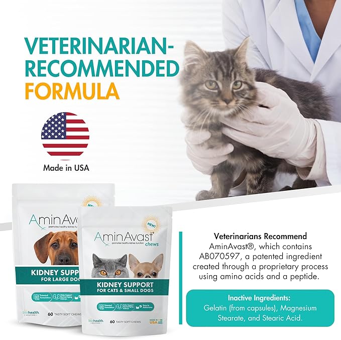 AminAvast Small Dogs & Cat Kidney Support - Promotes Healthy Kidney Support in Cats & Small Dogs - 300mg (60 Chews)