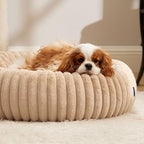 Bedsure Donut Medium Dog Bed - Washable Faux Fur Dog Bed Medium Size Dog with Corduroy Fleece & Anti Slip Bottom, Round Pet Beds with Removable Cover, Sandy Tan, 30x30x8 inches