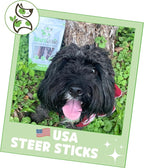 Nature Gnaws USA Steer Sticks for Dogs 5-7" (8oz) - Mixed Thickness - Long Lasting for Aggressive Chewers and Large Dogs - Natural Beef Bully Dog Chew Bones