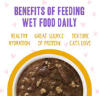 Weruva B.F.F. OMG - Best Feline Friend Oh My Gravy!, Tuna & Turkey Tickles with Tuna & Turkey in Gravy Cat Food, 3oz Pouch (Pack of 12)