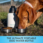 Hydropet Portable Dog Water Bottle (32 oz) - Insulated Dogs & Cats Travel Bottles, Stainless Steel - Detachable Dog Food Bowl and Water Bowl - Great for Daily Walks - Puppy Essentials & Accessories