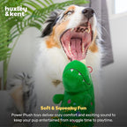 Huxley & Kent Funny Dog Toy w/Squeaker – Holiday Power Plush Squeaky Dog Toys for Small, Medium & Large Dogs – Soft Stuffed Animal for Indoor Play & Fetch - Tree Rex 2.0, Large