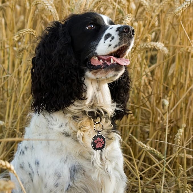 Personalized Dog Tags with QR Code - Custom Dog Name Tags, Smart Pet ID Tags, Free Online Scan for Instant Pet Location Alert Email