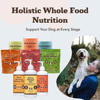 Natural Dog Company Ultra Omega Oil for Dogs a 2000 MG Omega 3, 6, 9 with Salmon, Pollock & Flaxseed Oil, EPA & DHA, Dog Supplement for Skin, Coat, Joints, Allergy & Itch Relief, Dog Fish Oil 16oz