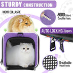 Pet Carrier for Large Cat 20 lbs+ / Soft Sided Small Dog 12 Pounds Travel Crate Top Load/Collapsible Kitty Carry Bag Big Kitten Mesh/Sturdy Animal Transport cage Kennel Long Trips Purple