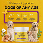 Turkey Tail Mushroom for Dogs - Dog Vitamins and Supplements - Prebiotics & Probiotics for Longevity, Immune Support & Digestion - with Chlorella, Dandelion Root, Vitamin E & More- 5.3 Oz