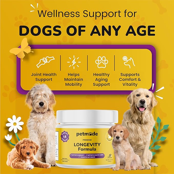 Turkey Tail Mushroom for Dogs - Dog Vitamins and Supplements - Prebiotics & Probiotics for Longevity, Immune Support & Digestion - with Chlorella, Dandelion Root, Vitamin E & More- 5.3 Oz
