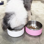 LIHONG Stainless Steel Dog Bowls for Large Dogs,Dog Food Water Bowls with Non Slip Rubber Bottom,Pet Feeding Bowl,Double Wall Insulated,Rustproof(64oz,Pink)
