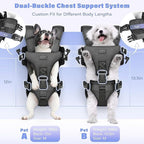 YUDODO Front Pet Carrier Backpack for Small Dogs and Cats, Secure and Breathable Mesh, Ergonomic Support, Adjustable for Walking, Hiking, or Travel (Black M)