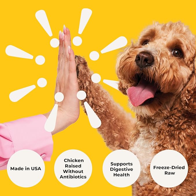 Chonky Chicken - Freeze Dried Raw Dog Food, Complete Meal, Real Cuts of Chicken for Training, Meal Topper, High Protein, 21g Per Cup, Made in The USA, 8oz Bag
