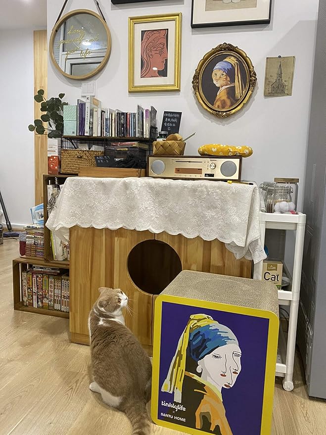 FluffyDream Cat Scratcher Cardboard, Girl with a Pearl Earring Shape Adaptation Spoof Version Cat Scratching House Bed Furniture Protector, Pink