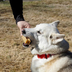100% Natural Himalayan Yak Cheese for Dogs - Mega (Pack of 5) - Sourced from Pristine Himalayan Foothill, Rawhide-Free, NO preservatives