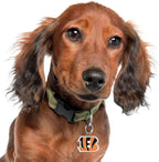 NFL Cincinnati Bengals Engraving Pet ID in 32 Team Logo Shapes - Personalized Dog and Cat Tags With 3 Lines of Customizable Text for Tracking & Safety - Stainless Steel