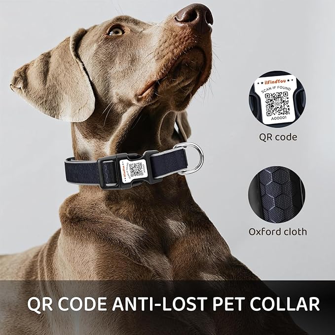 Personalized Dog Collar with QR Code tag for pet ID, Reflective Safety Collar, Suitable for Small, Medium, and Large Dogs (Black, Small)