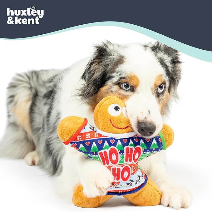Huxley & Kent Funny Dog Toy w/Squeaker – Holiday Power Plush Squeaky Dog Toys for Small, Medium & Large Dogs – Soft Stuffed Animal for Indoor Play & Fetch - Ugly Sweater G-Man, Small