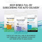 Blackwood Bounty Dry Cat Food, Cod & Carp Recipe for All Life Stages, 4.5 Pound Bag, High Protein, Grain Free