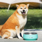 Pawaii Stainless Steel Dog Bowl with Non-Slip Rubber Base & Double Wall Insulation - Durable Design | Includes ID Tag | Dishwasher Safe Food & Water Bowl for All Dogs (68oz)