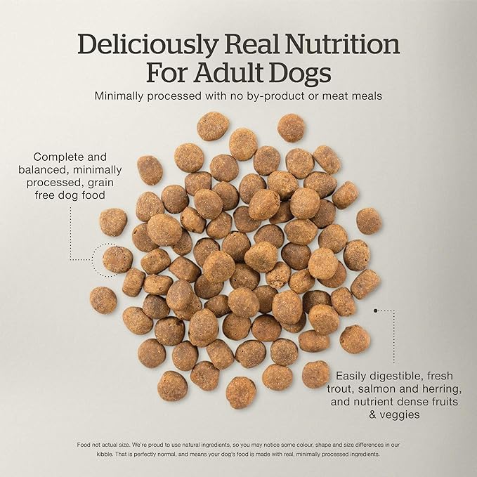 Now Fresh Grain-Free, Dry Dog Food, Real Trout, Salmon and Herring Adult Recipe, All Breed Size, 22 lb Bag