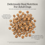 Now Fresh Grain-Free, Dry Dog Food, Real Trout, Salmon and Herring Adult Recipe, All Breed Size, 22 lb Bag