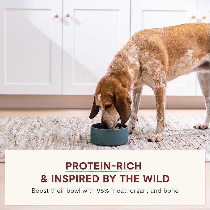 Open Farm, RawMix Freeze Dried Raw Morsels, Dog Food Topper & Meal Mixer, High Protein & Bone Broth Infused with 95% Real Meat, Organs & Bones, Open Prairie Recipe with Chicken & Turkey, 13.5oz Bag