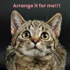 SHA CERLIN 68 Inches Multi-Level Large Cat Tree for Large Kitties/Big Cat Tower with Condo/Cozy Plush ‌Pussycat Perches/Sisal Scratching Posts and Hammocks/Activity Center/Pink