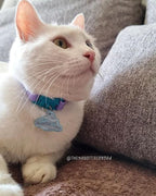 Kittyrama Mauve Cat Collar with Bell. Cat Friendly Award Winner. Approved by Vets and Cat Experts. Breakaway Cat Collars Quick Release. Kitten Collar. Won't Rub Fur. Lightweight, Soft & Comfy