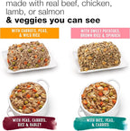 Purina Beneful Wet Dog Food Variety Pack, Prepared Meals & Chopped Blends - (16) 10 oz. Tubs