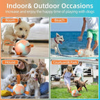 QDAN Small Dog Balls: Dog Soccer Ball with Straps- Premium Dog Toys Balls- Puppy Outdoor Dog Toys Pet Training Ball Birthday Gifts for Small Dogs- Rainbow Orange (5 Inch)