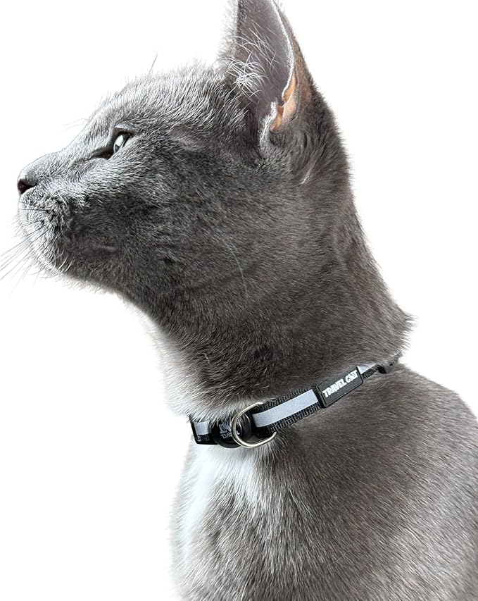 Travel Cat Breakaway Cat Collar - Black Adjustable Cute Cat Collar with Quick Release Safety Buckle for Boy and Girl Cat - Nylon 8-13 inch Length Kitten Collar with Metal D-Ring, Machine Washable